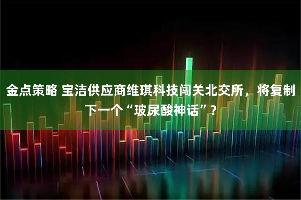 金点策略 宝洁供应商维琪科技闯关北交所，将复制下一个“玻尿酸神话”？